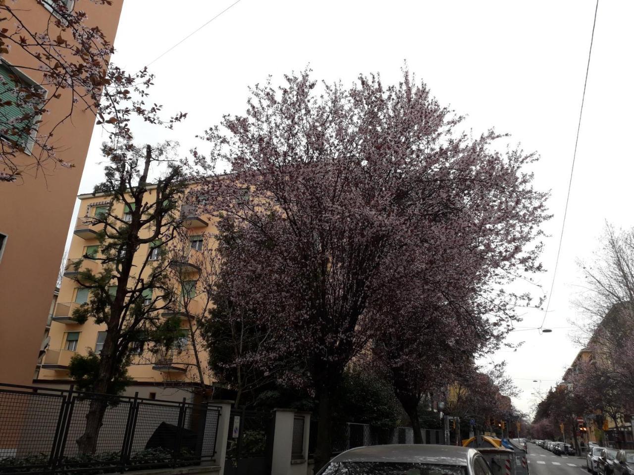 Sant'Orsola Bologna Appartamento 外观 照片